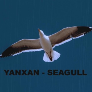 SEAGULL / თოლია