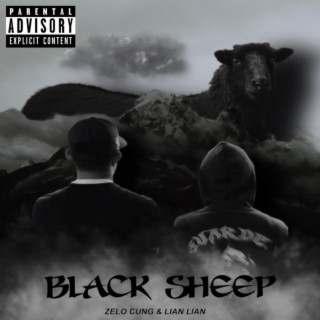 Black Sheep ft. Lian Lian lyrics | Boomplay Music