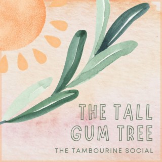 The Tall Gum Tree