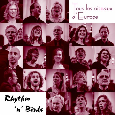 Hide and Seek ft. Tous les oiseaux d'Europe | Boomplay Music