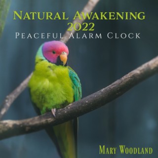 Natural Awakening 2022: Peaceful Alarm Clock, Nature Sound Effect Ringtones, Morning Stress and Cortisol Relief
