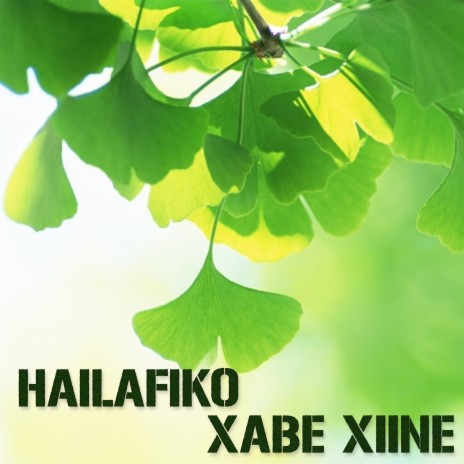 Xabé Xiine | Boomplay Music