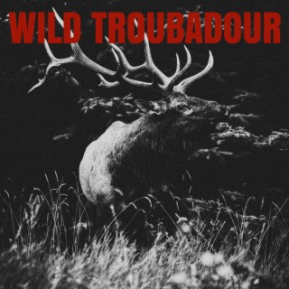 Wild Troubadour lyrics | Boomplay Music