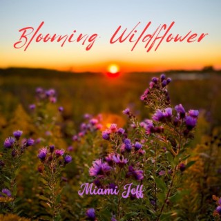 WILDFLOWER lyrics | Boomplay Music