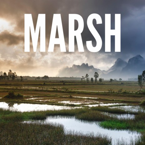 Marsh ft. Emotion of Keys | Boomplay Music
