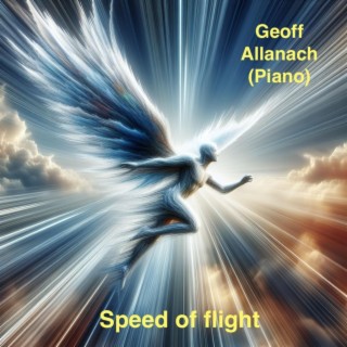 Speed of flight