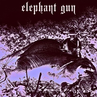 Elephant Gun*