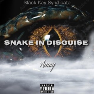 Snake In Disguise | Boomplay Music