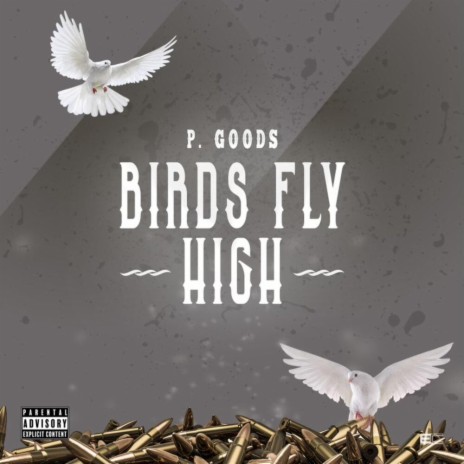 Birds Fly High | Boomplay Music