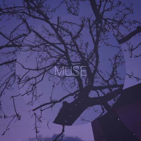 muse ft. Lirth | Boomplay Music