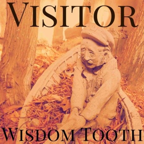 Wisdom Tooth ft. Humeberto.eme | Boomplay Music