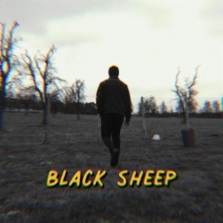 Black Sheep