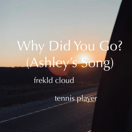 Why Did You Go? (Ashley’s Song) ft. tennis player | Boomplay Music