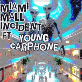 Miami Mall Incident