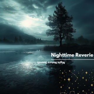 Nighttime Reverie: Ethereal Night Sounds