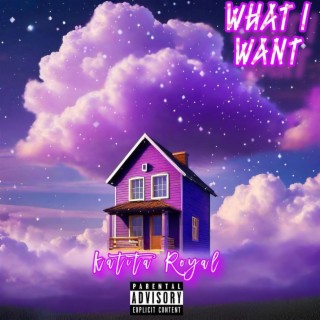 WHAT I WANT lyrics | Boomplay Music