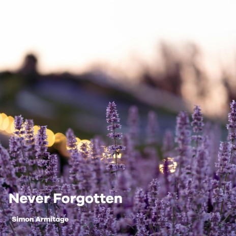 Never Forgotten | Boomplay Music