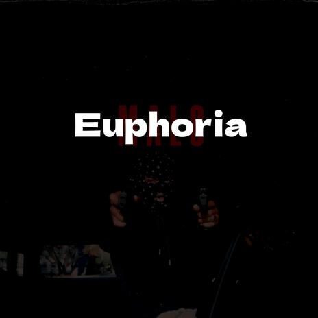 Euphoria (Slowed Reverd) | Boomplay Music