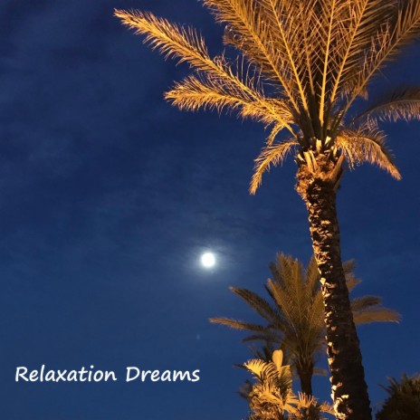 Relaxation Dreams | Boomplay Music