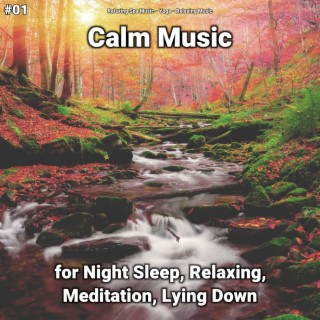 #01 Calm Music for Night Sleep, Relaxing, Meditation, Lying Down