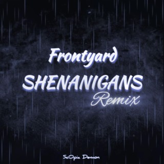 FRONTYARD SHENANIGANS (Remix) lyrics | Boomplay Music