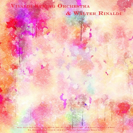 Oboe Concerto in D Minor, BWV 1059: II. Adagio (Live) ft. Walter Rinaldi