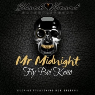 Mr. Midnight