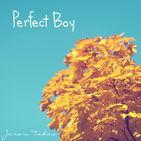 Perfect Boy | Boomplay Music