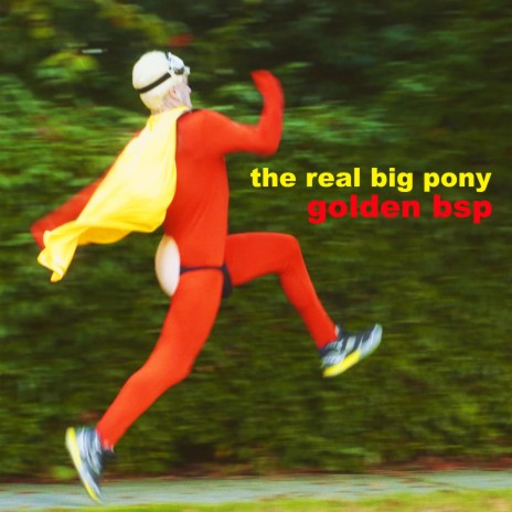 The Real Big Pony | Boomplay Music