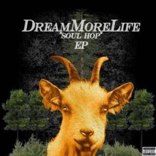 Dreammorelife