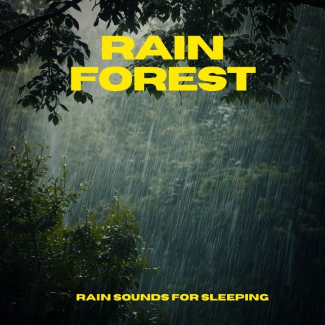 rain in the forest