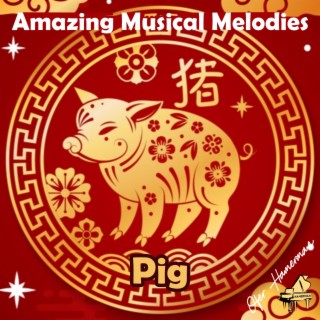 Amazing Musical Melodies (Pig)