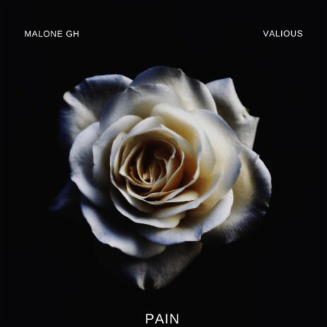 Pain (feat. Valious) | Boomplay Music