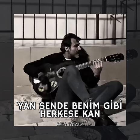 Yan Sende Benim Gibi Herkese Kan (Rıza Tamer) | Boomplay Music