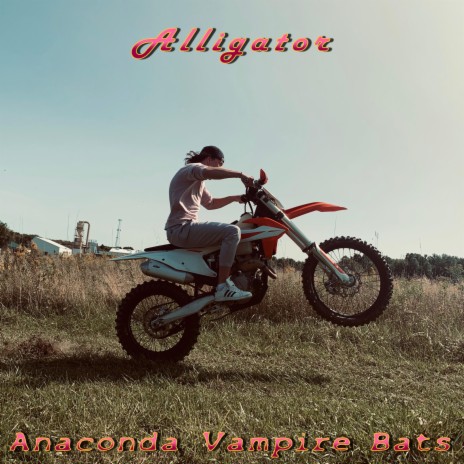 Alligator | Boomplay Music