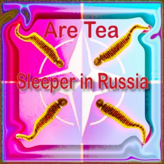 Sleeper in Russia