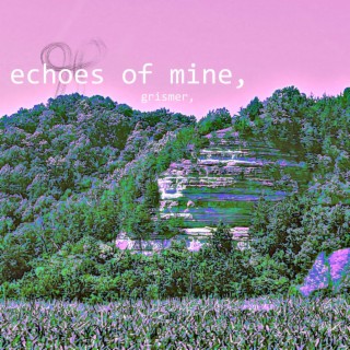 Echoes of Mine ft. Yung Pinga & Lil Bubber lyrics | Boomplay Music