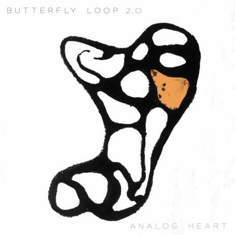 Butterfly Loop 2.0
