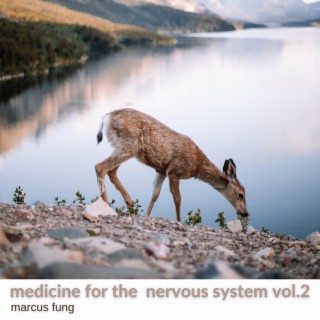 medicine for the nervous system vol.2