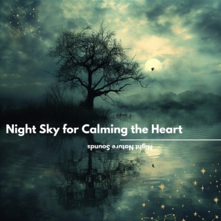 Nightfall Whispers: Soothing Evening