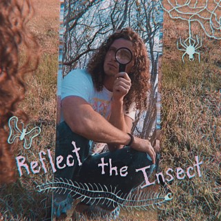 Reflect the Insect lyrics | Boomplay Music