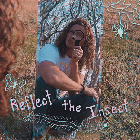 Reflect the Insect