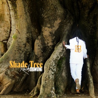 Shade Tree lyrics | Boomplay Music