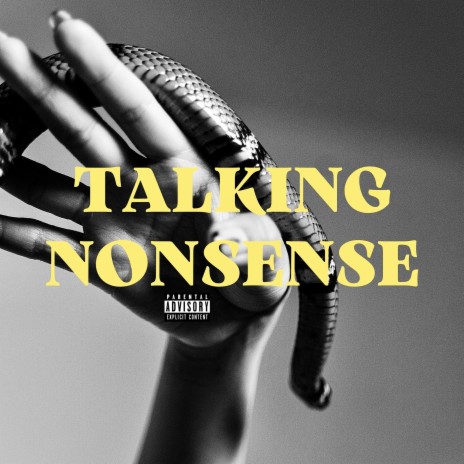 Talking Nonsense ft. beau bloom | Boomplay Music