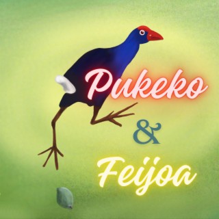 Pukeko & Feijoa