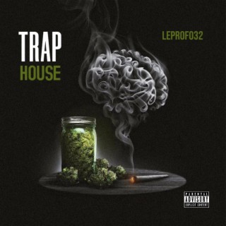 TRAPHOUSE ft. Ms & BIGWAYNE lyrics | Boomplay Music