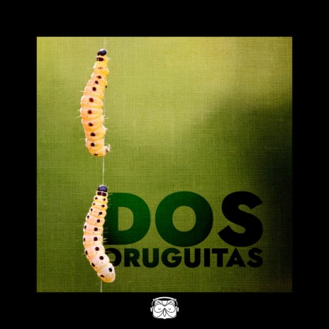 Dos Oruguitas (Cover Version) | Boomplay Music