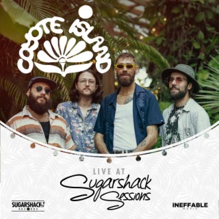 Coyote Island (Live at Sugarshack Sessions)
