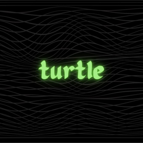 turtle | Boomplay Music