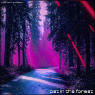 Lost In the Forest